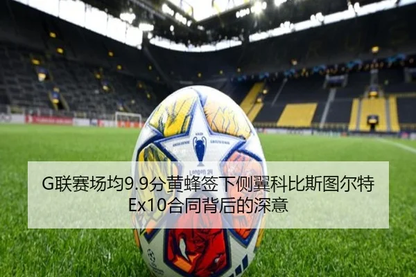 G联赛场均9.9分黄蜂签下侧翼科比斯图尔特Ex10合同背后的深意 | WMsports